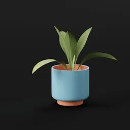 Haran Iron Plant Tiny Potted