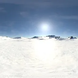 Snow Landscape