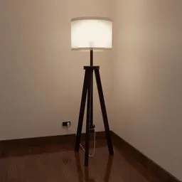 Lamp (Floor Lamp)