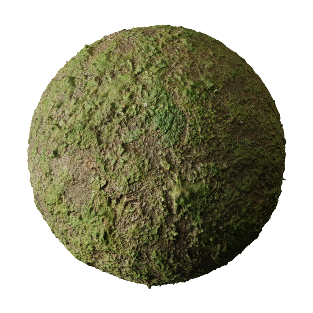 blenderkit-download-the-free-grass-ground-meadow-pbr-scan-material