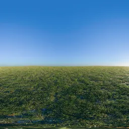 Pure Sky Green Fields HDRi 16K