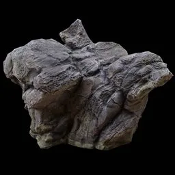 Mushroom lime rock PBR Photogrammetry