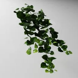 "Green artificial tendril vine 3D model for Blender 3D - inspired by real products on the market, with ivy vines, fig leaves, and spiralling bushes. Created using the Bagapia addon and editable in one go with edit mode. Perfect for nature-inspired indoor scenes."
