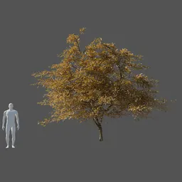 Yellow leaf lemon tree