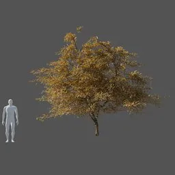 Yellow leaf lemon tree