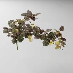 "Artificial tendril Fitonia red v1" 3D model for Blender 3D: a vase with a plant sitting on a table, featuring flowering vines and dried leaves in the style of photogrammetry cloud. Created using Bagapia add-on with permission of author for optimal geometry nodes.
