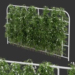 Grid Ivy Flowering Plant
