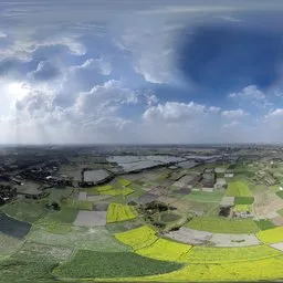 Golden Farmlands Panorama