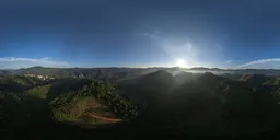Green Forest HDR
