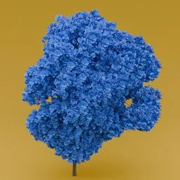 Blue flowered-dark purple leaved tree
