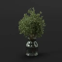 Green Topiary Plant