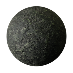 Black mossy rock