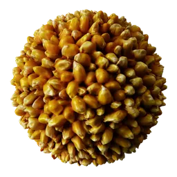 Maize Corn Grain