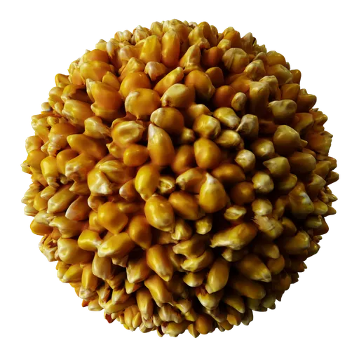 Maize Corn Grain