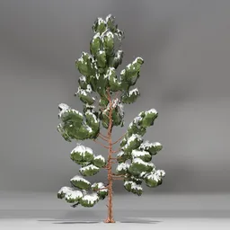 Snow Pine Toon Tree