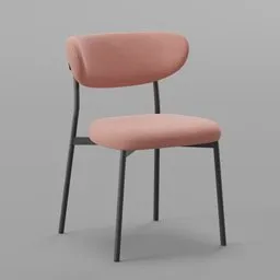 Modern Soft Dining Chair