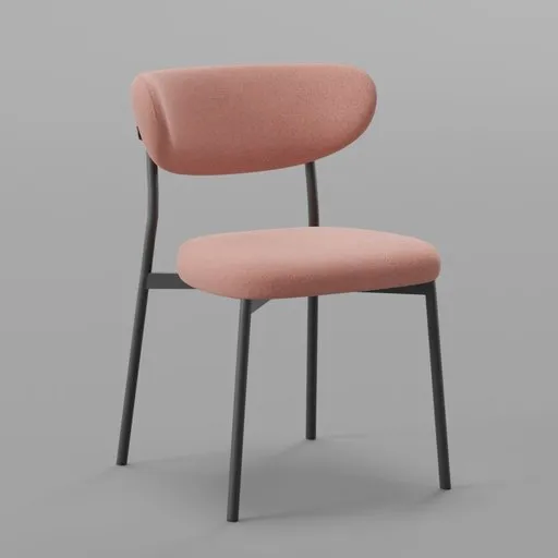 Modern Soft Dining Chair
