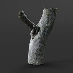 Highly detailed photoscanned 3D apple tree trunk with texture maps for Blender rendering.