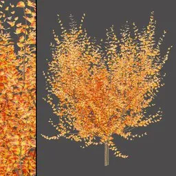 Orange Foliage Bench