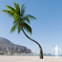 Coconut Tree Rigged and Animated