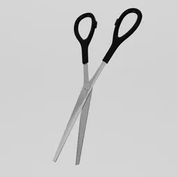 Scissors