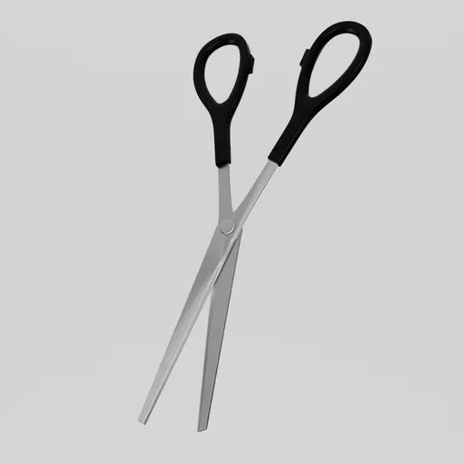 Scissors
