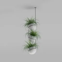 Hanging Planter Trio