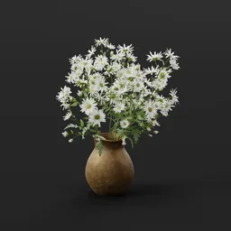 White Daisy
