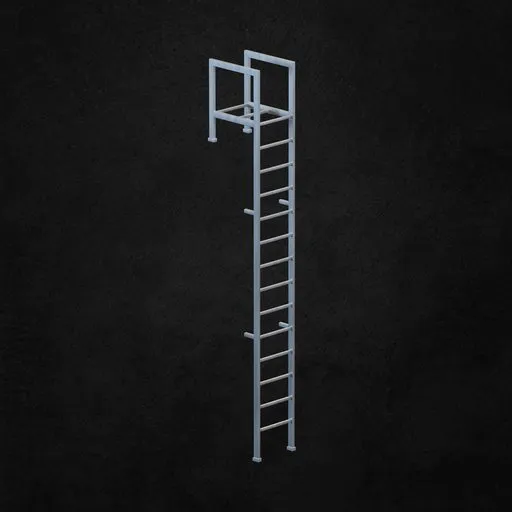 Exterior ladder