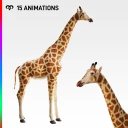 Male Giraffe +Animations