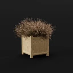 Plant Ephedra Planter