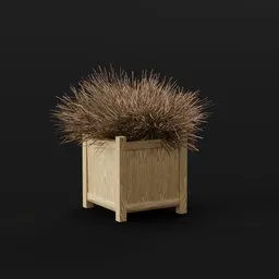 Plant Ephedra Planter