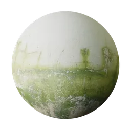 Mossy Old White Painterd Wall