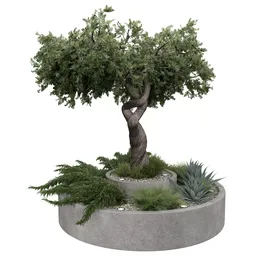Twisted Tree Planter