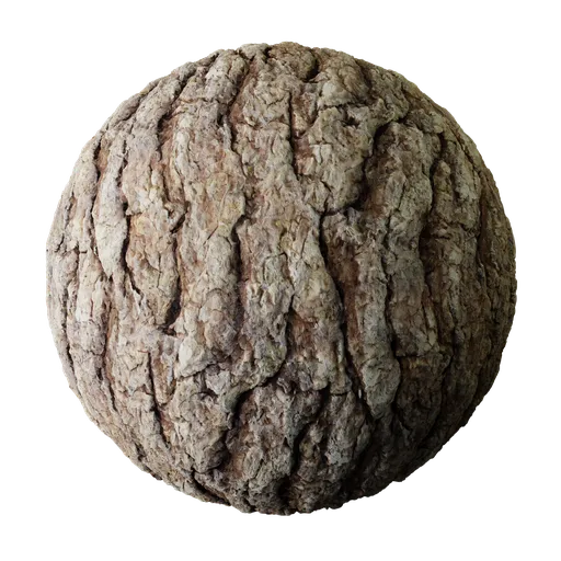High-resolution tree bark texture for 3D modeling in Blender, suitable for realistic environment rendering.