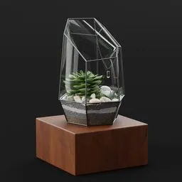 Geometric Glass Terrarium with Succulent