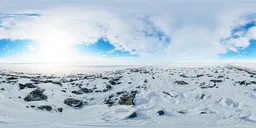 Frozen Tundra Sunlight