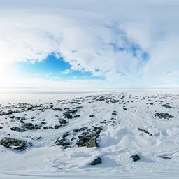 Frozen Tundra Sunlight