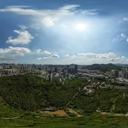 Sunny Mountain Forest