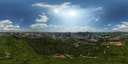 Sunny Mountain Forest