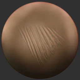 ER_Fin Brush-Pelvic Fin – Right