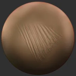 ER_Fin Brush-Pelvic Fin – Right