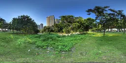 Green grass during the day