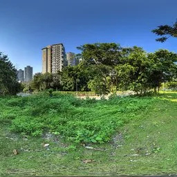 Green grass during the day