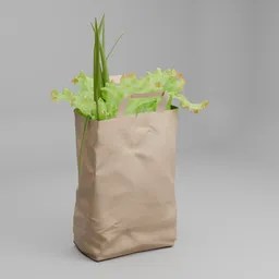 Fresh Vegetables