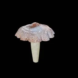 Mushroom
