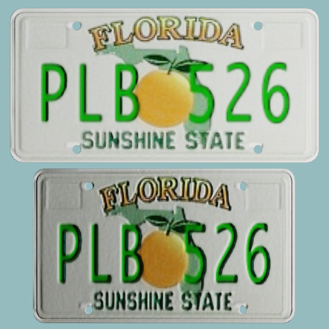 Florida Licence plate PL | FREE Vehicle Parts models | BlenderKit