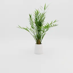 Detailed 3D rendering of an indoor plant in a white pot made using Blender.
