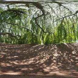Green Sanctuary