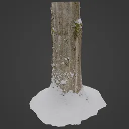 Detailed 3D model of snow-covered tree trunk, high-quality Blender 3D texture map preview.